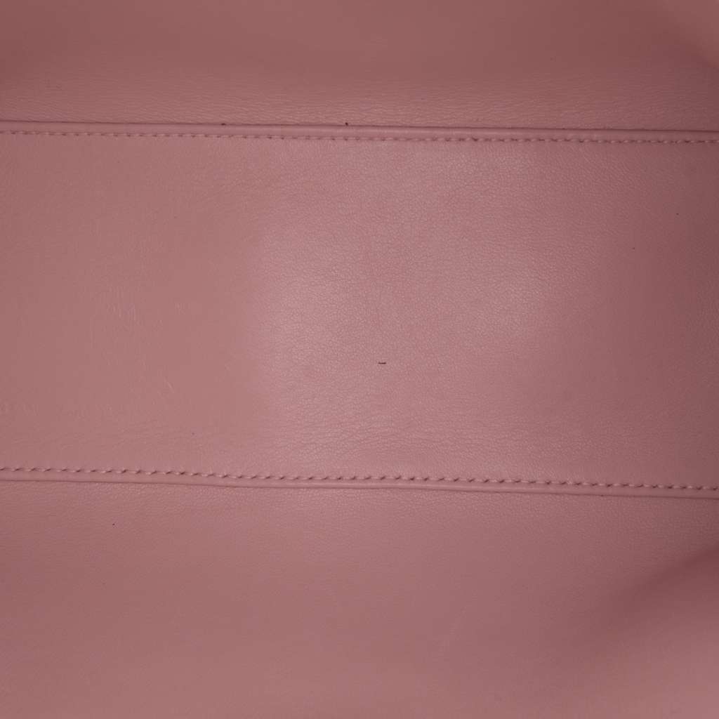 Dior Medium Deerskin Floral Printed Lady Dior - 4