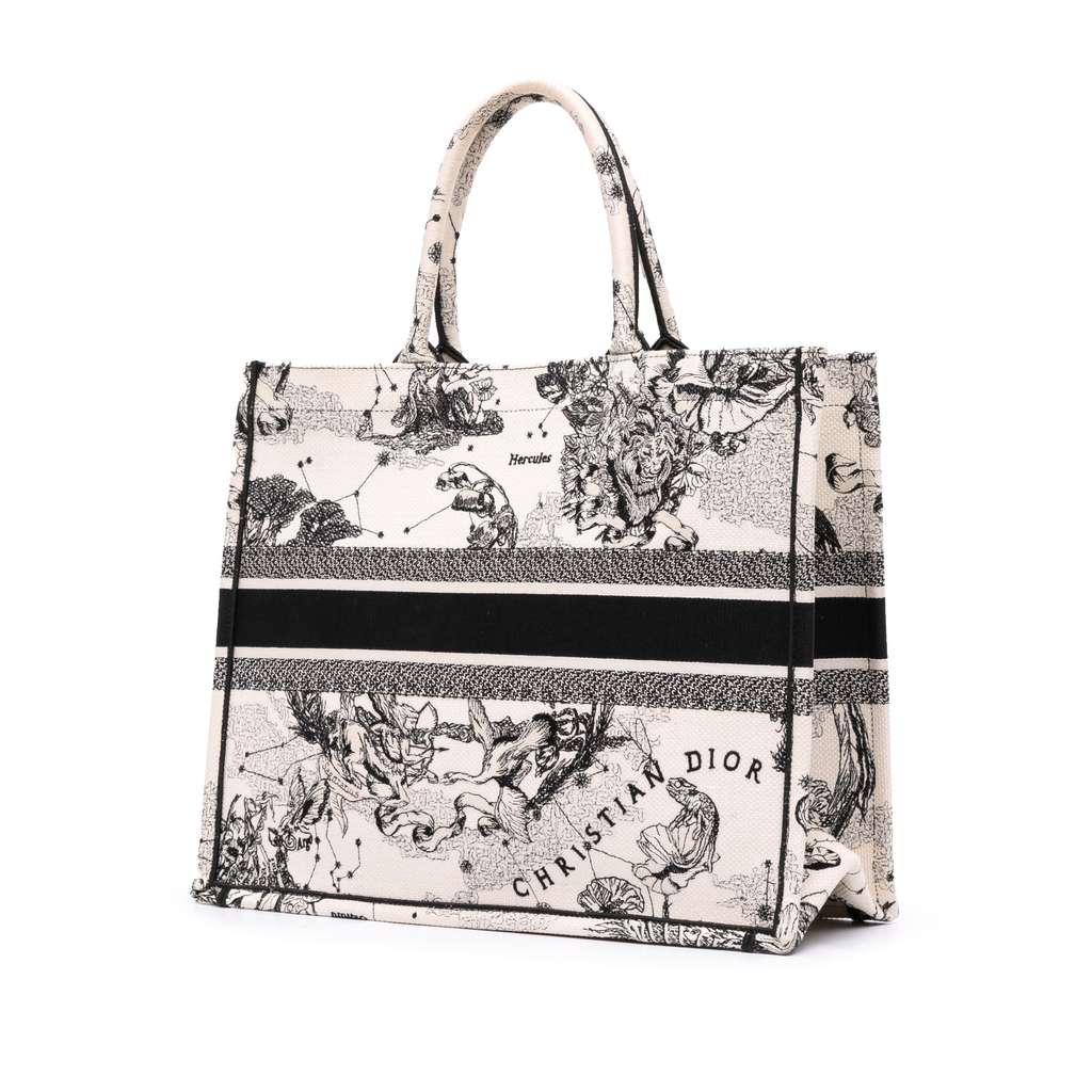 Dior Large Canvas Embroidered Zodiac Toile De Jouy Book Tote - Back view