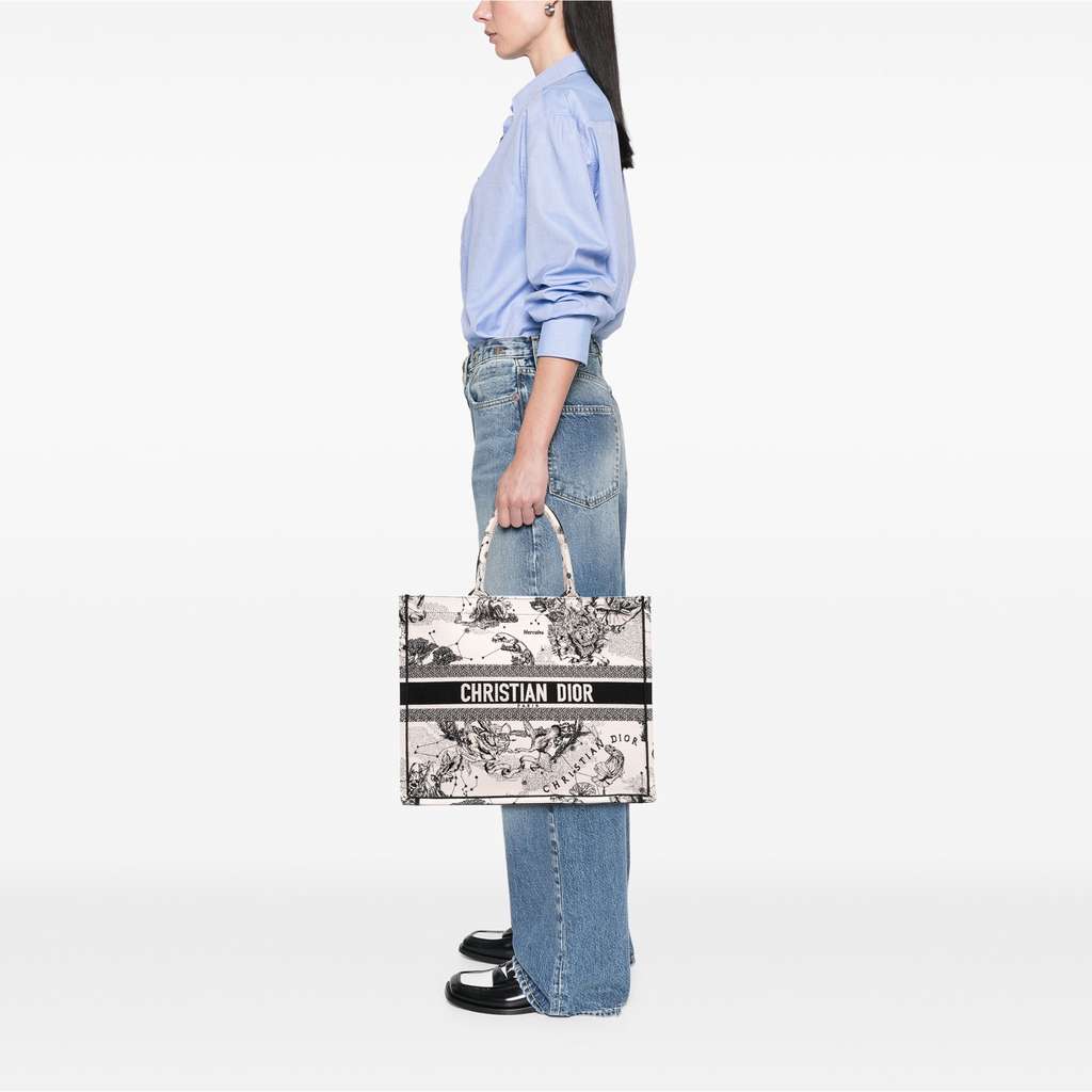 Dior Large Canvas Embroidered Zodiac Toile De Jouy Book Tote - Image 12
