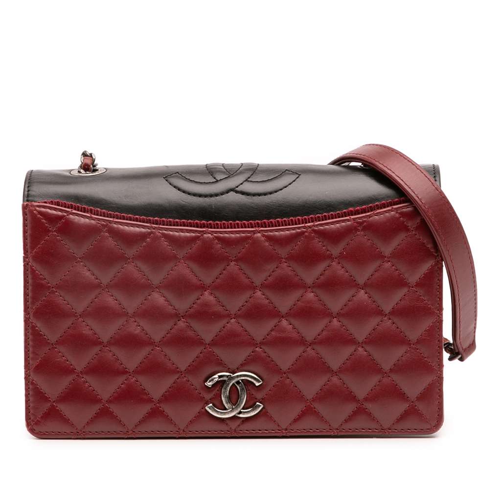 Chanel Small Quilted Lambskin Ballerine Flap Bag