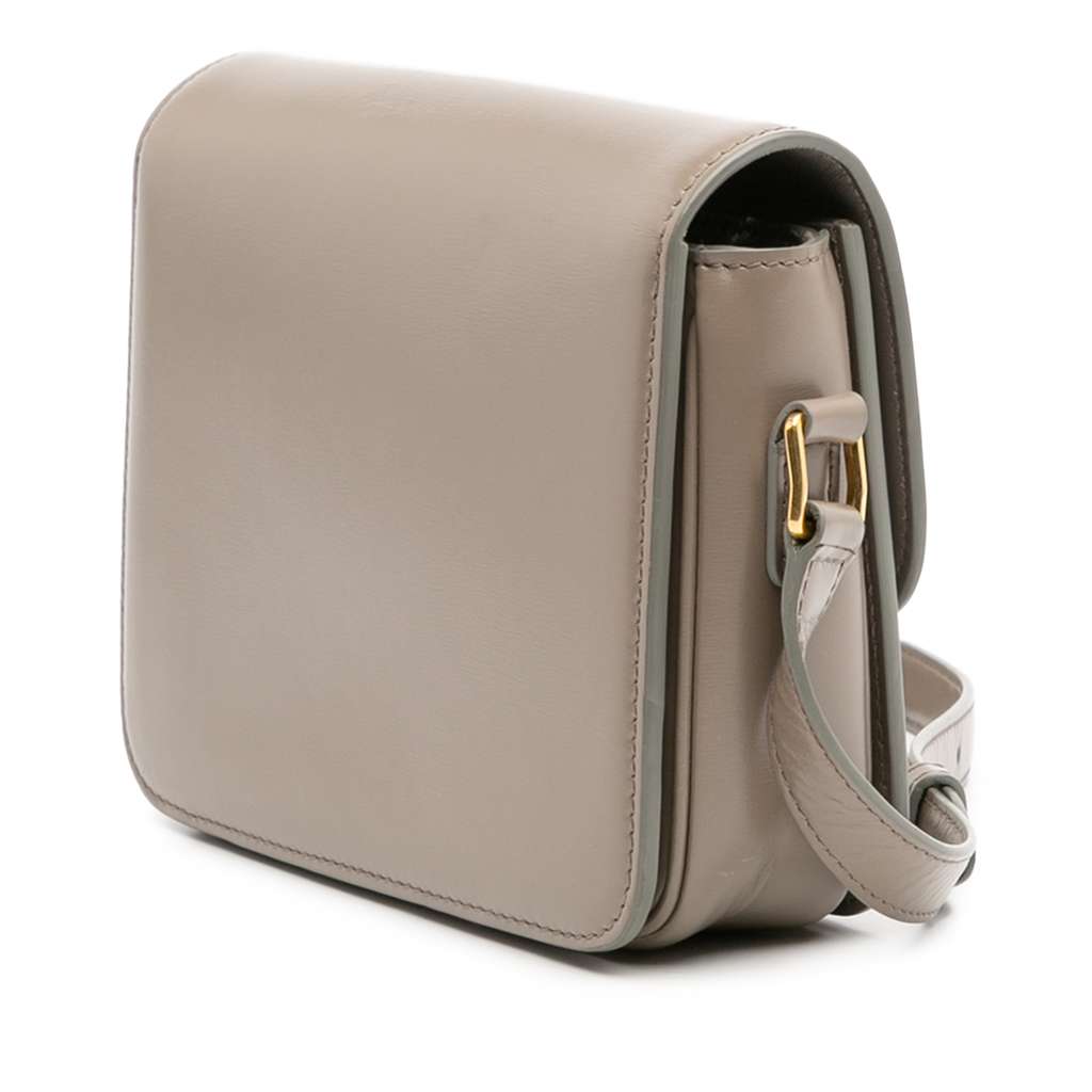 Celine Teen Shiny Calfskin Triomphe Crossbody - Back view