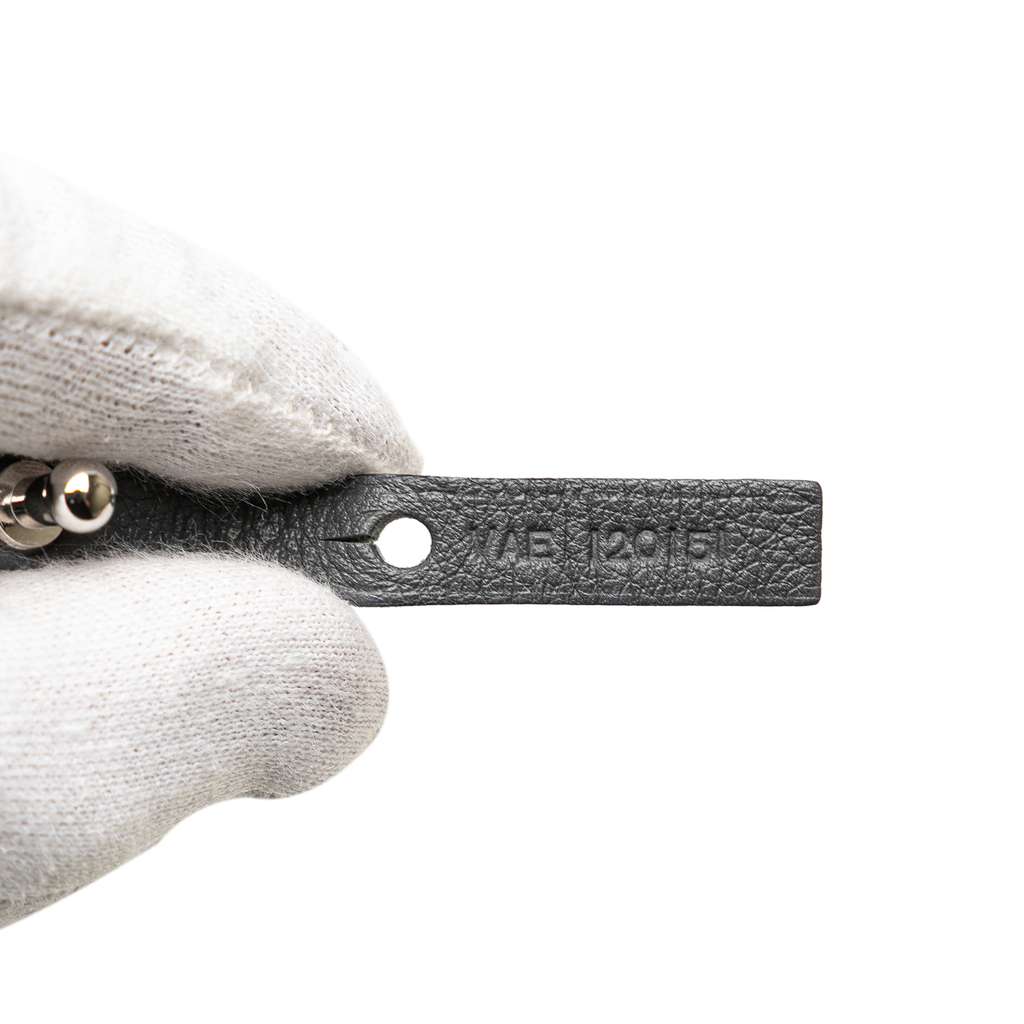 Goyard Goyardine Saint Louis PM - Image 11