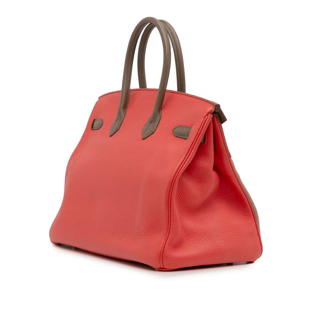 Hermès Tricolor Clemence and Swift Birkin Cascade Retourne 35 - Back view