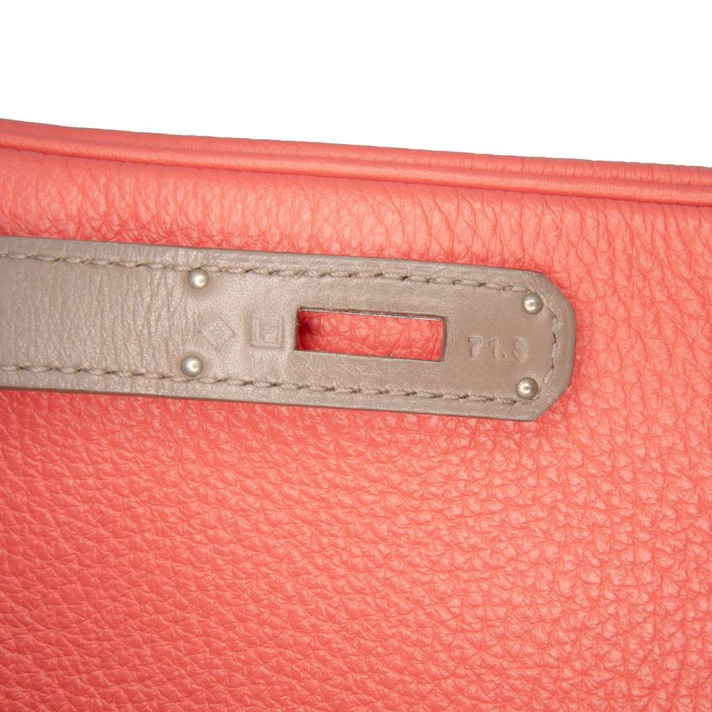 Hermès Tricolor Clemence and Swift Birkin Cascade Retourne 35 - Detail 1