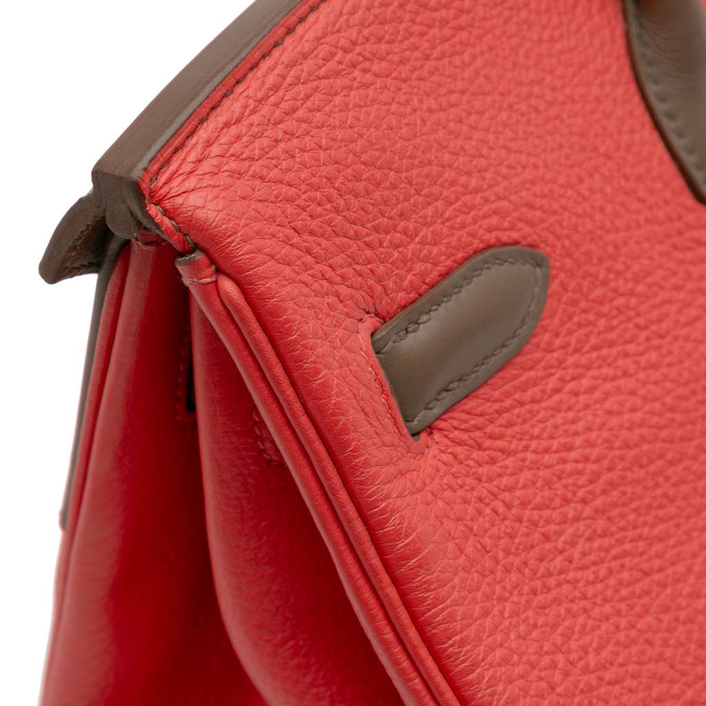 Hermès Tricolor Clemence and Swift Birkin Cascade Retourne 35 - Image 10