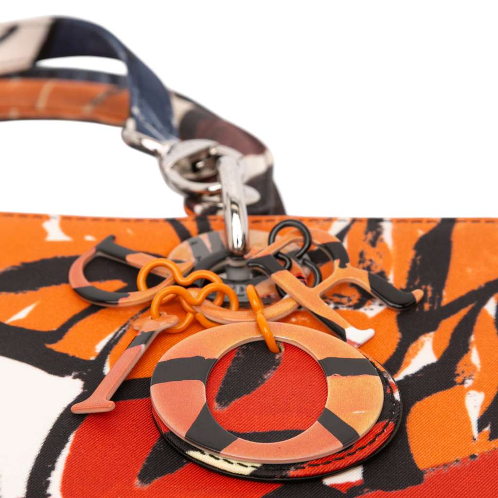 Dior Large Canvas Floral Graffiti Lady Dior - Image 11