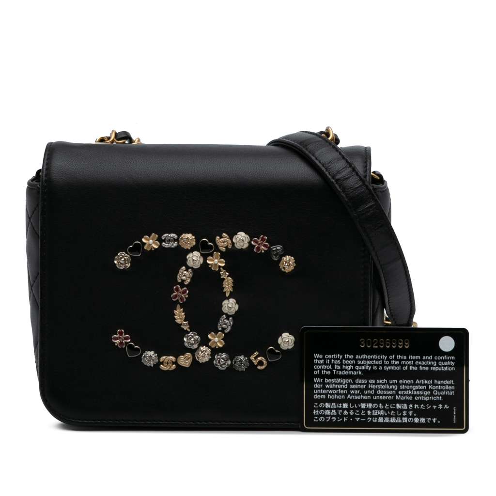 Chanel Lambskin Lucky Charms Flap Crossbody - Image 14