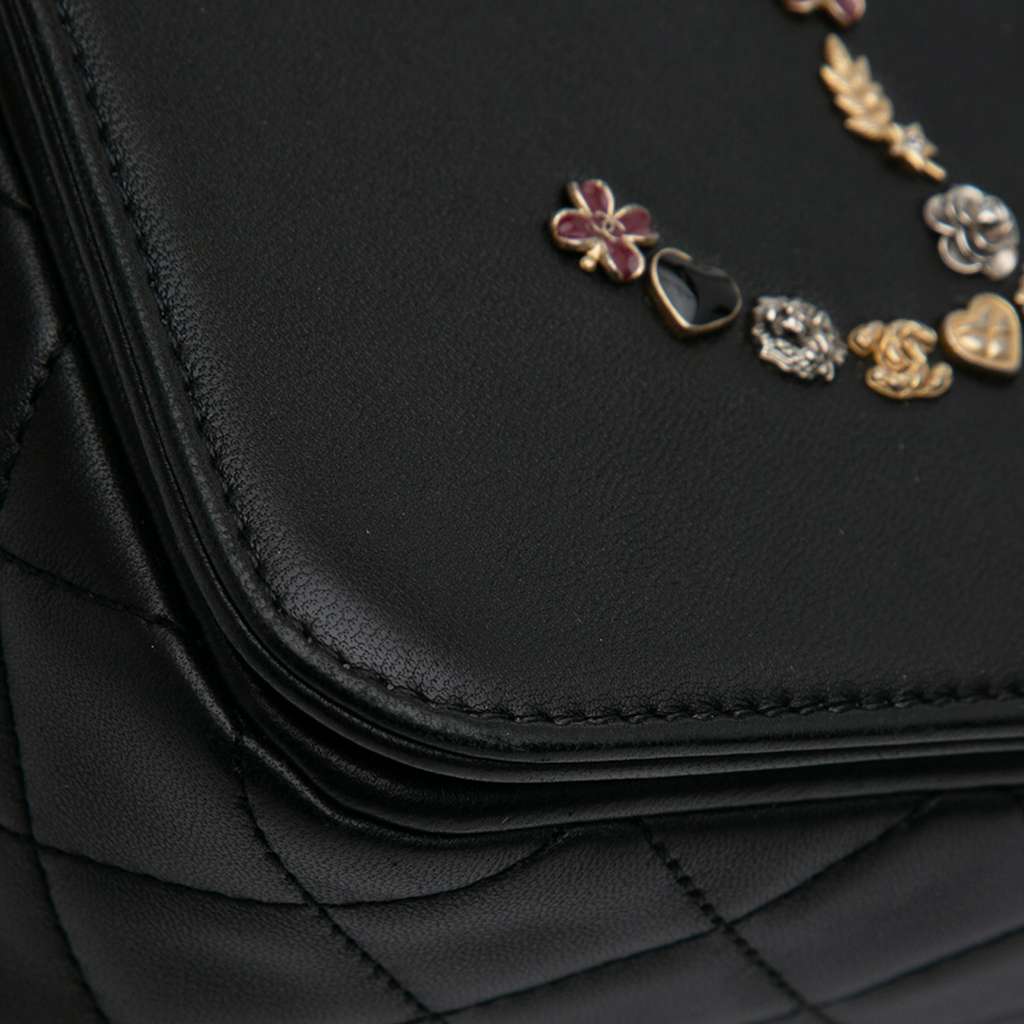 Chanel Lambskin Lucky Charms Flap Crossbody - Image 10