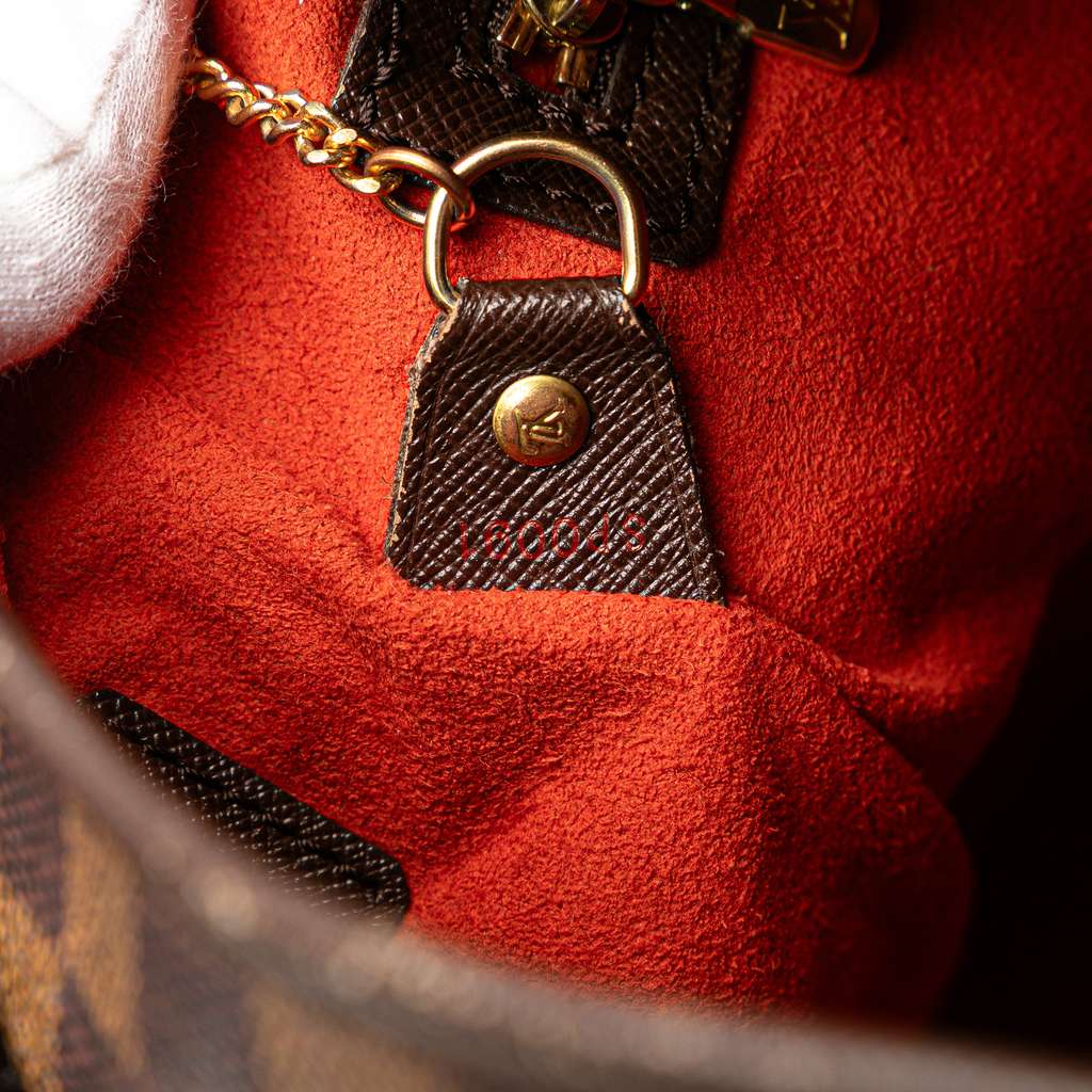 Louis Vuitton Damier Ebene Marais - 5