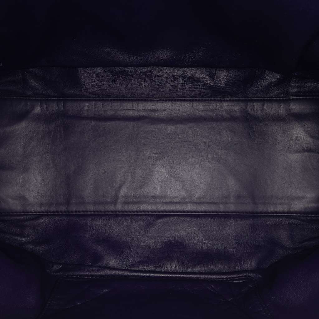 Loewe Goatskin Amazona 36 - 4