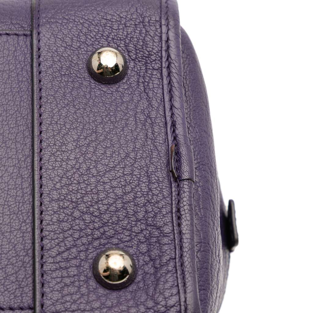 Loewe Goatskin Amazona 36 - Detail 2