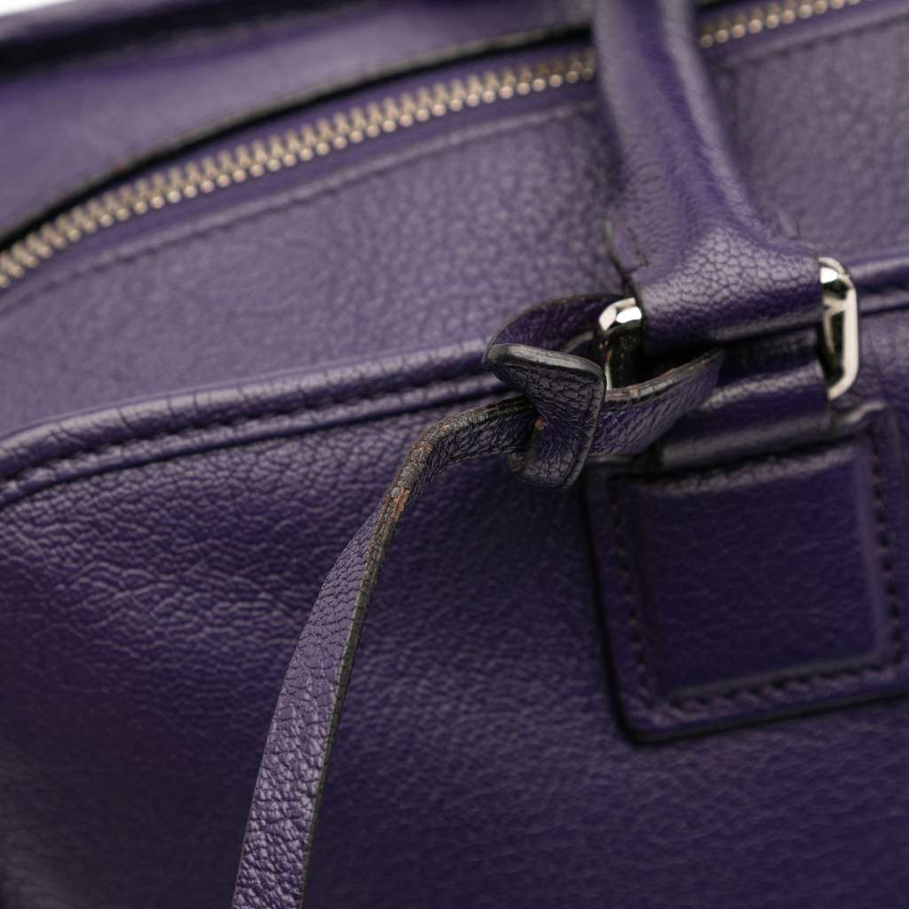 Loewe Goatskin Amazona 36 - Image 10