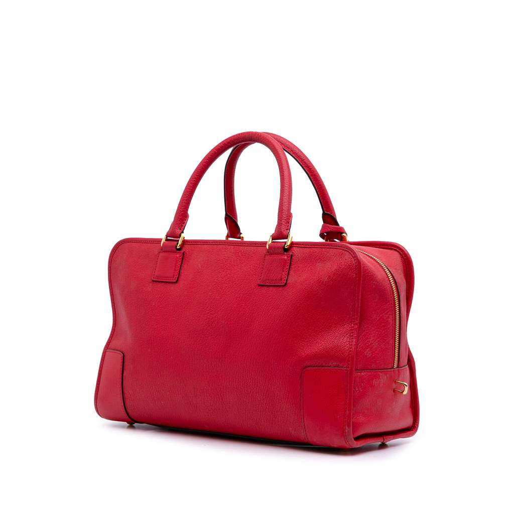 Loewe Leather Amazona 36 - 2