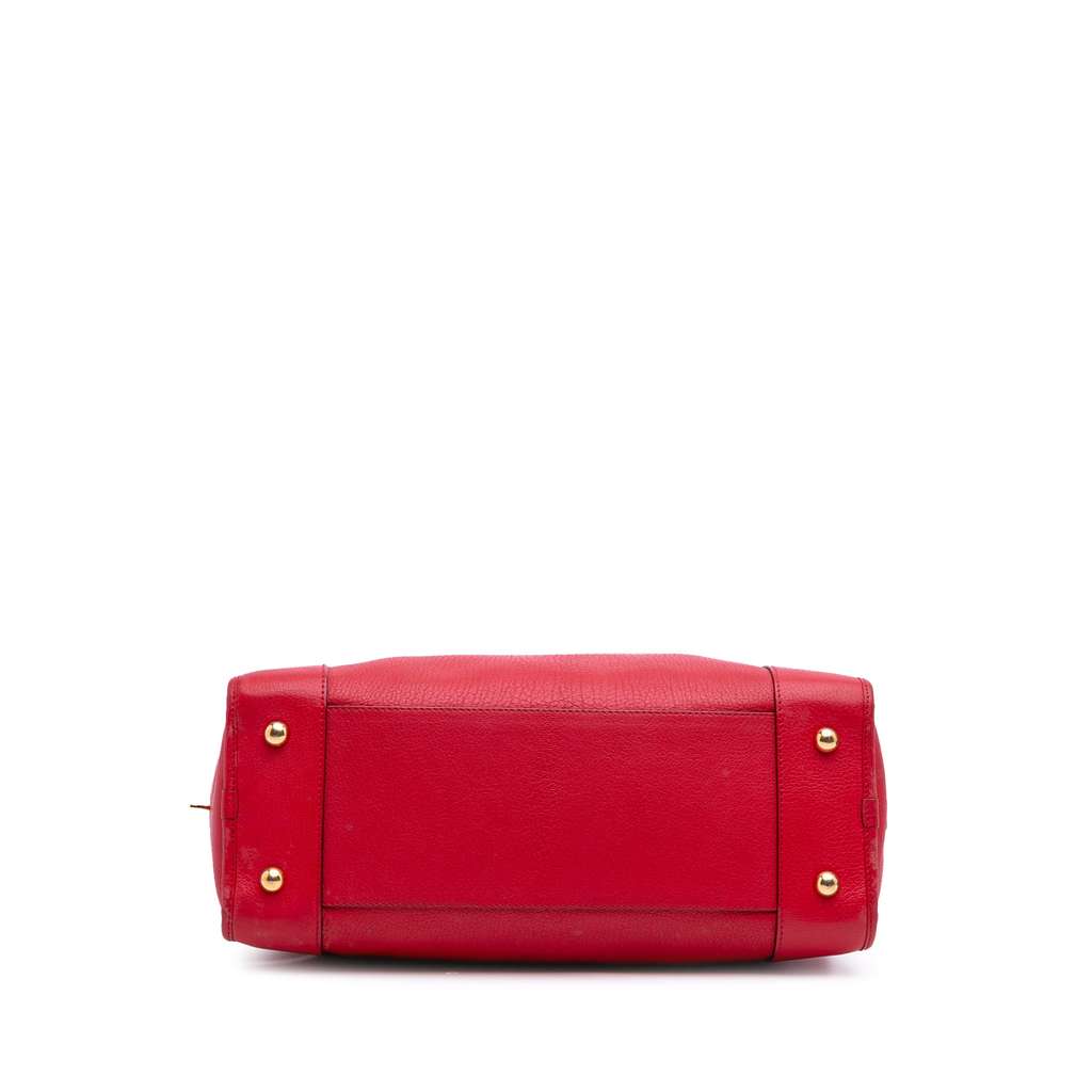 Loewe Leather Amazona 36 - 3