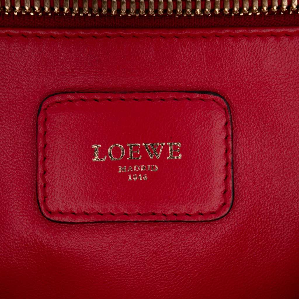 Loewe Leather Amazona 36 - 5