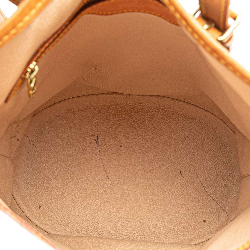 Louis Vuitton Monogram Petit Bucket - 4