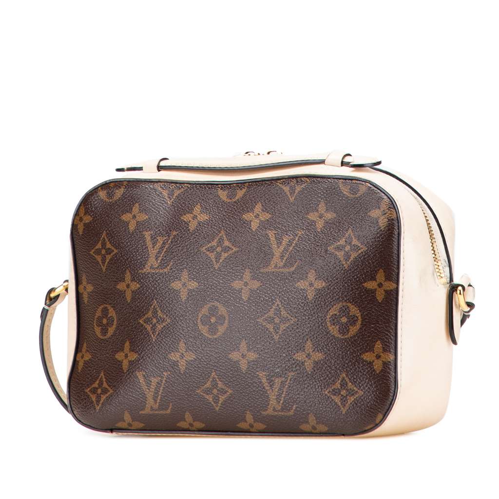 Louis Vuitton Monogram Saintonge - Back view