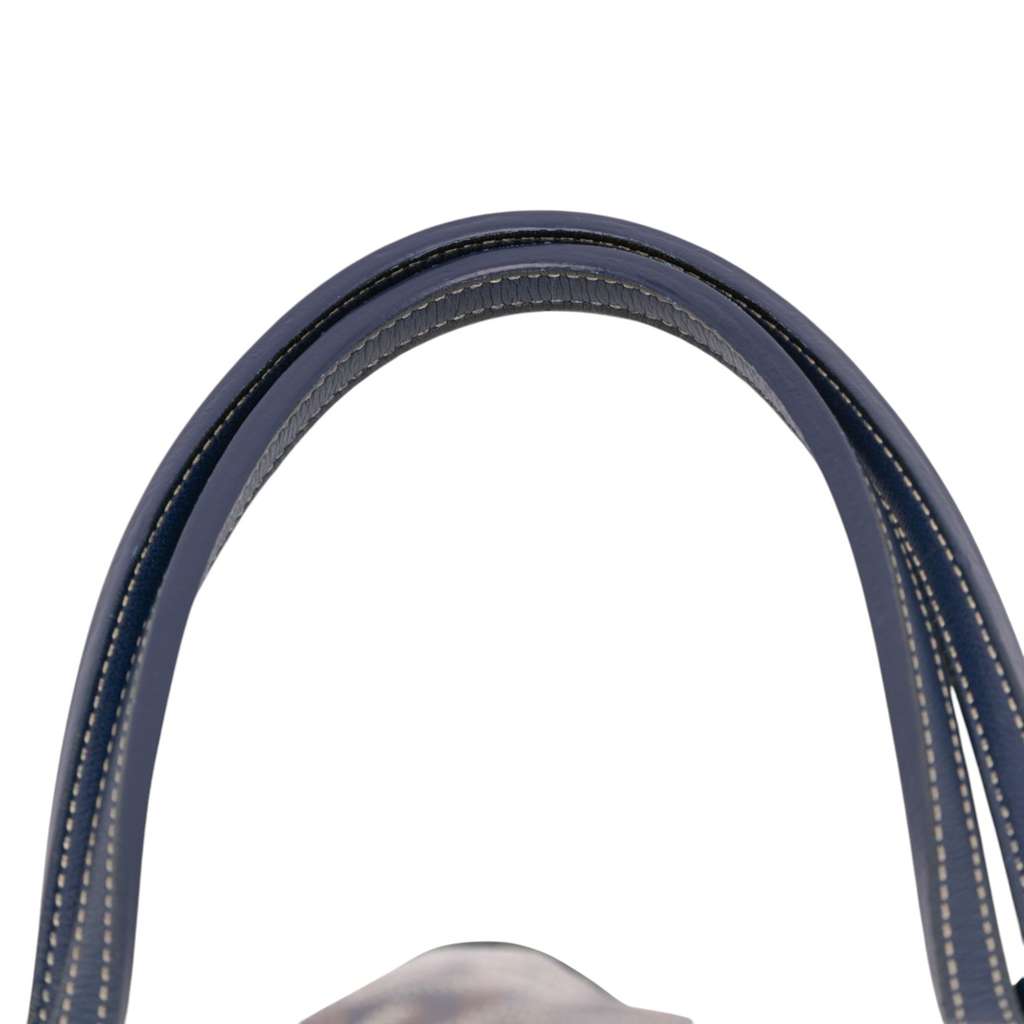 Goyard Goyardine Saint Louis PM - Image 12