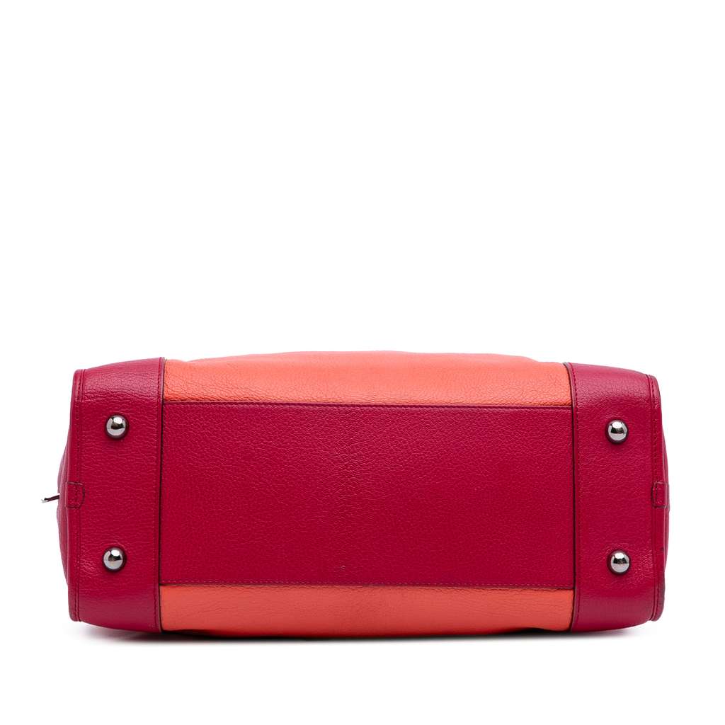 Loewe Tricolor Leather Amazona 36 - 3
