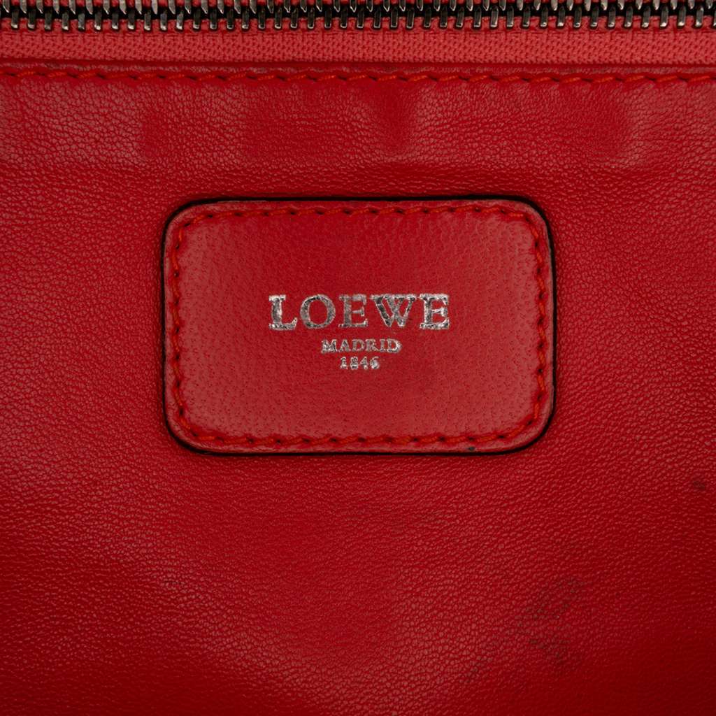 Loewe Tricolor Leather Amazona 36 - 5