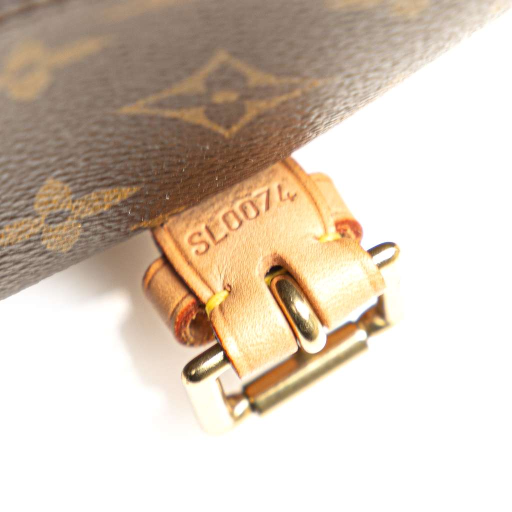 Louis Vuitton Monogram Sologne - Detail 1