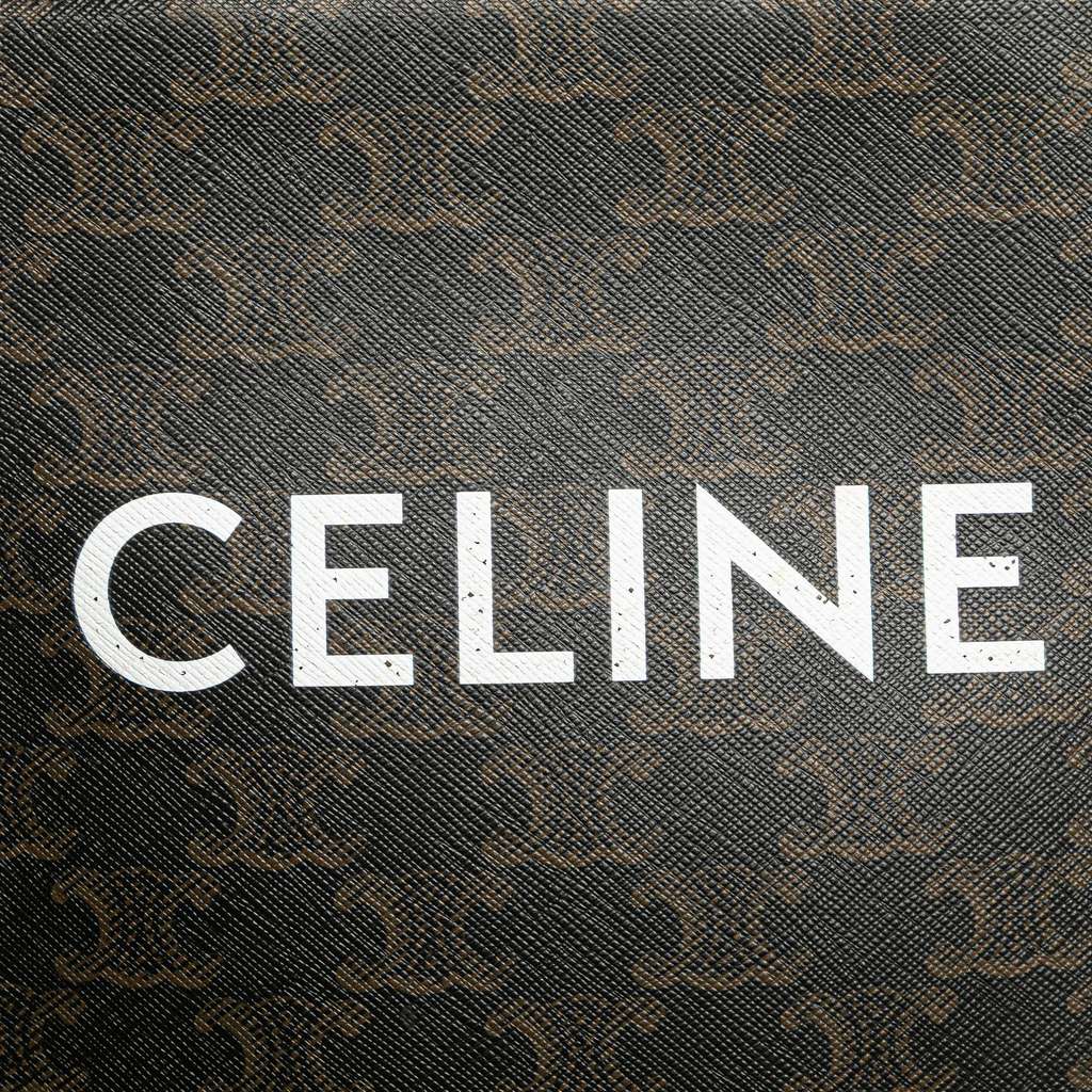 Celine Mini Triomphe Coated Canvas Vertical Cabas Satchel - Side view