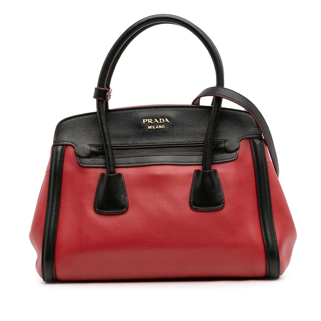 Prada Bicolor Saffiano and City Calf Tote