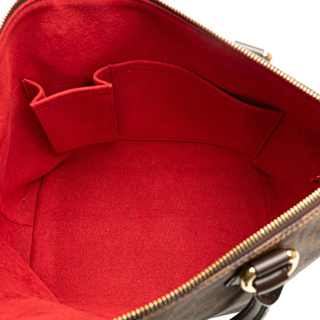 Louis Vuitton Damier Ebene Saleya PM - 4