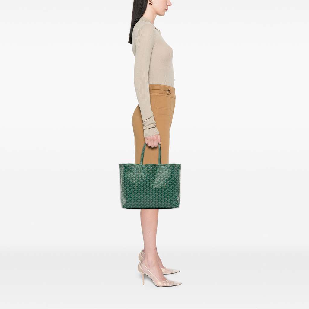 Goyard Goyardine Saint Louis PM - Image 13