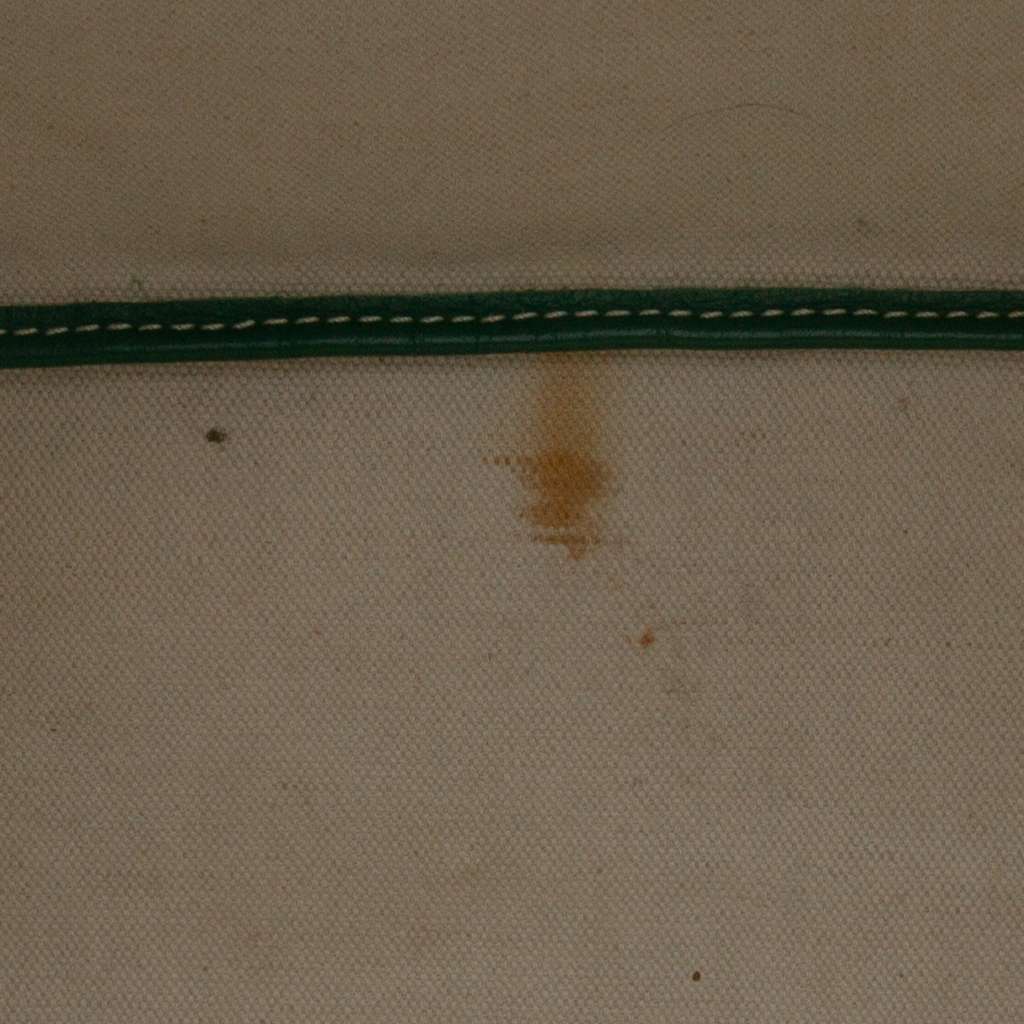 Goyard Goyardine Saint Louis PM - Side view