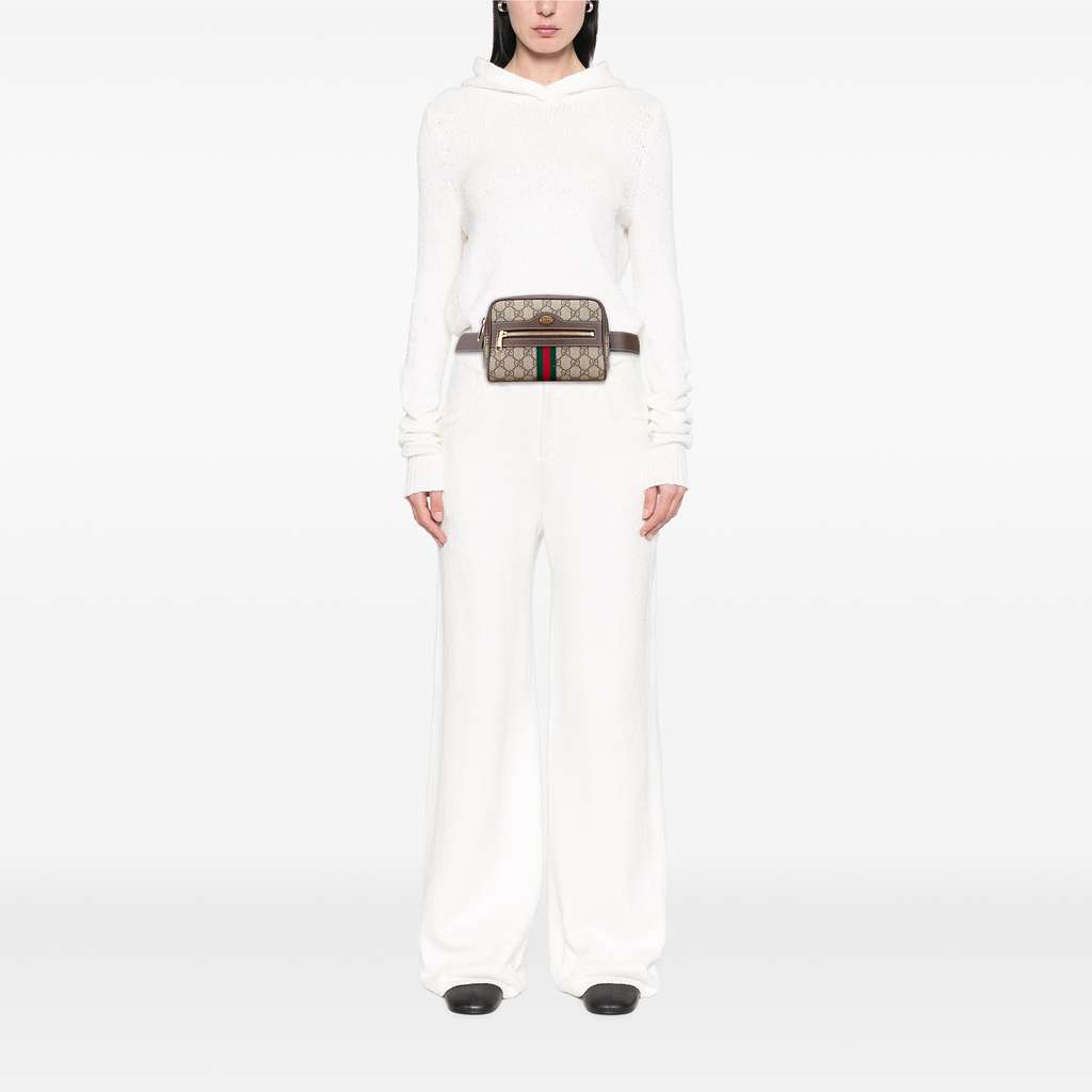 Gucci Small GG Supreme Ophidia Belt Bag - Image 12
