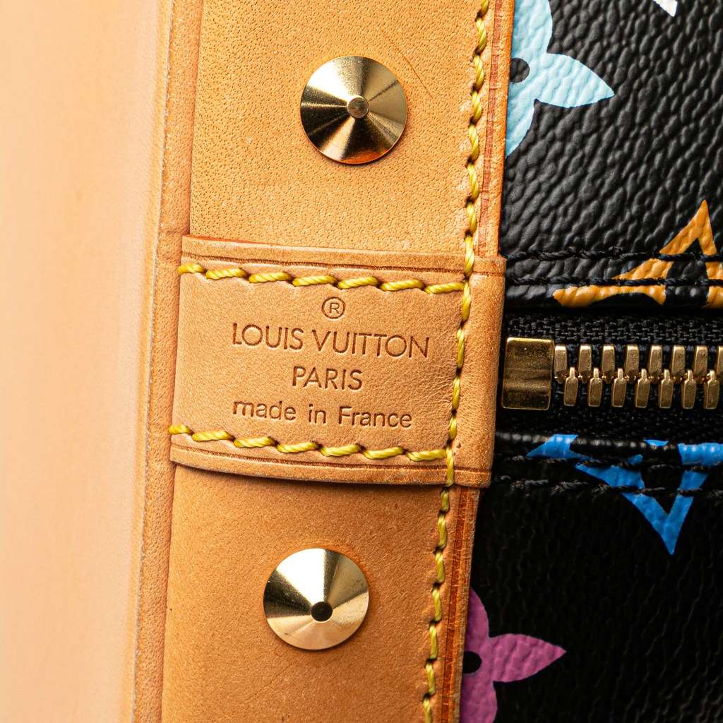 Louis Vuitton Monogram Multicolore Alma PM - Side view