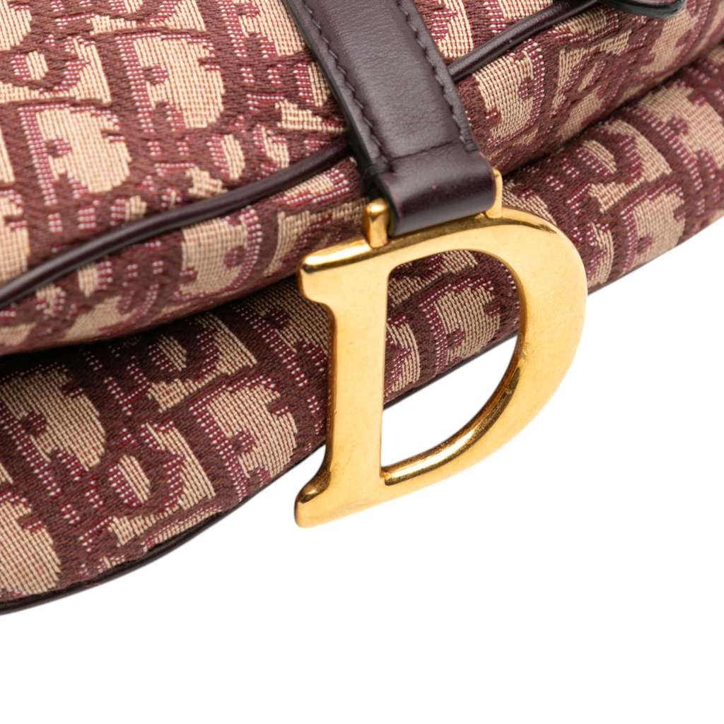 Dior Oblique Canvas Saddle Bag - Detail 1