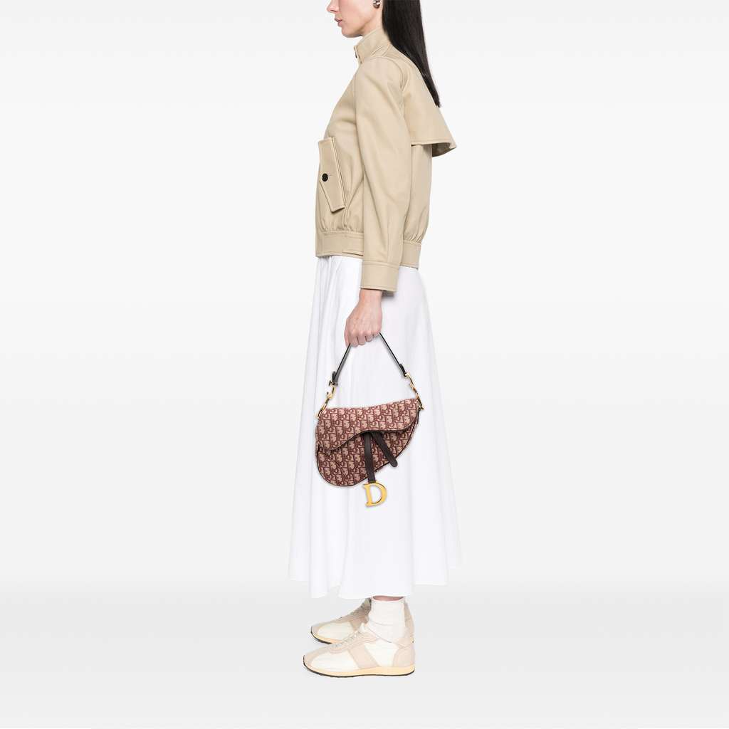 Dior Oblique Canvas Saddle Bag - Image 10