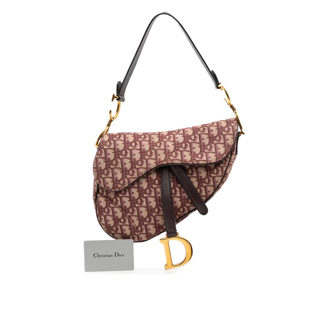 Dior Oblique Canvas Saddle Bag - Image 11