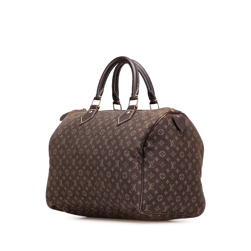Louis Vuitton Monogram Mini Lin Speedy 30 - 2