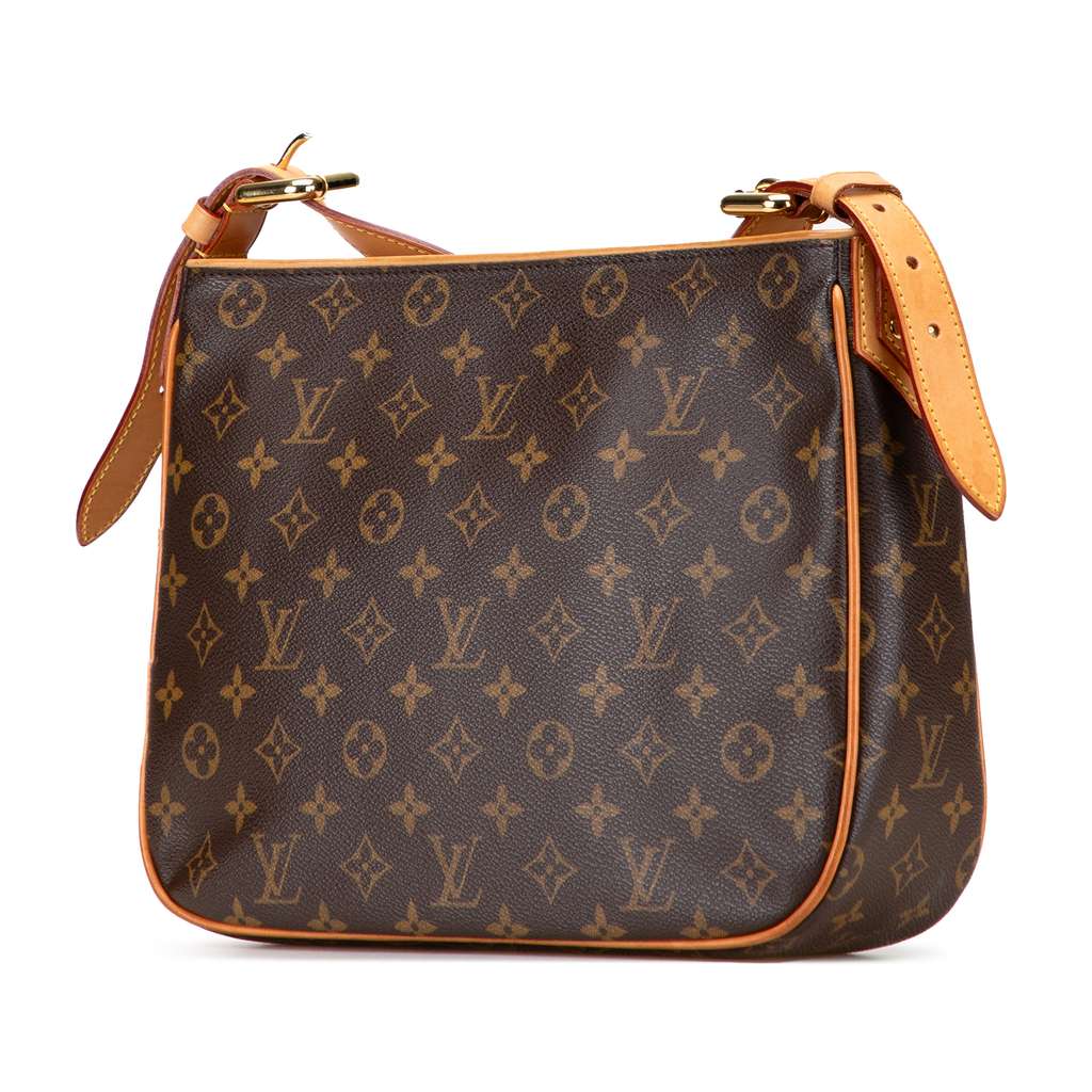 Louis Vuitton Monogram Hudson GM - Back view