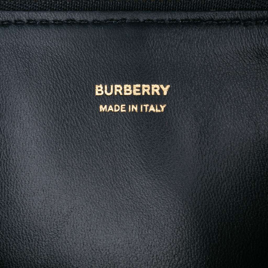 Burberry Mini Canvas Tiger Print Olympia Shoulder Bag - 5