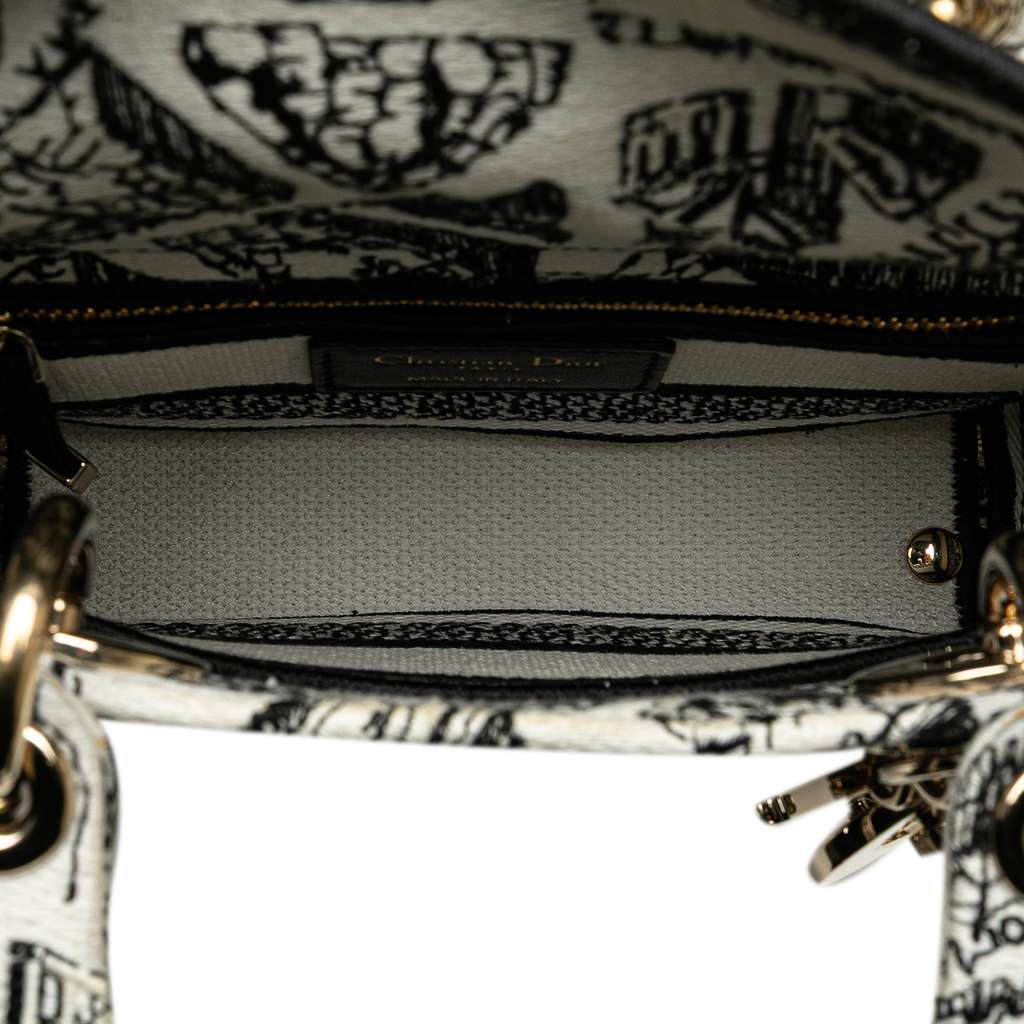 Dior Mini Embroidered Canvas Plan de Paris Lady D Lite - 4