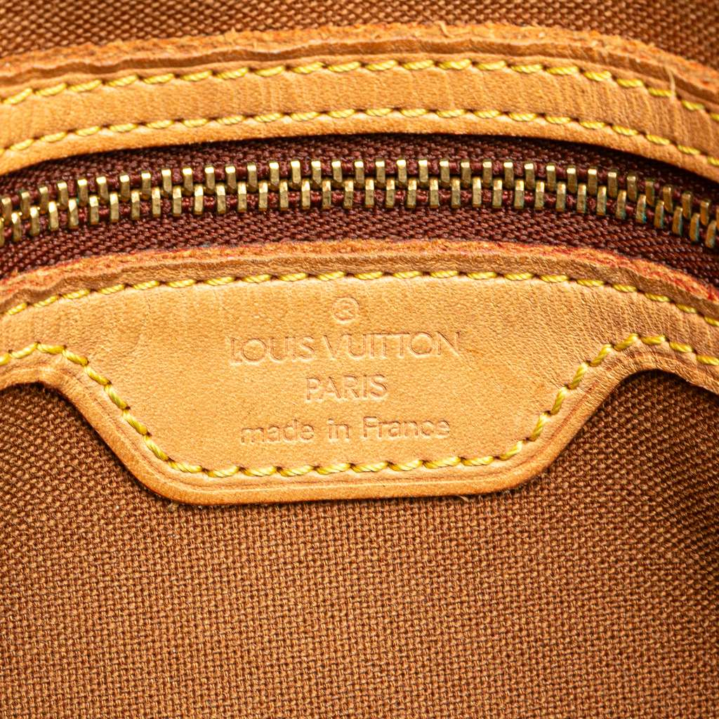 Louis Vuitton Monogram Mini Looping - 5