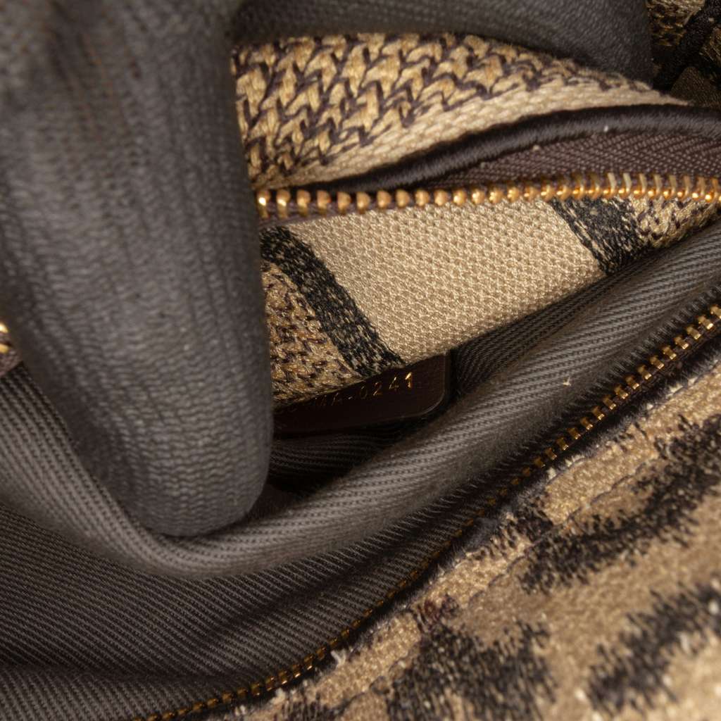 Dior Mizza Medium Leopard Embroidered Canvas Lady D Lite - 5