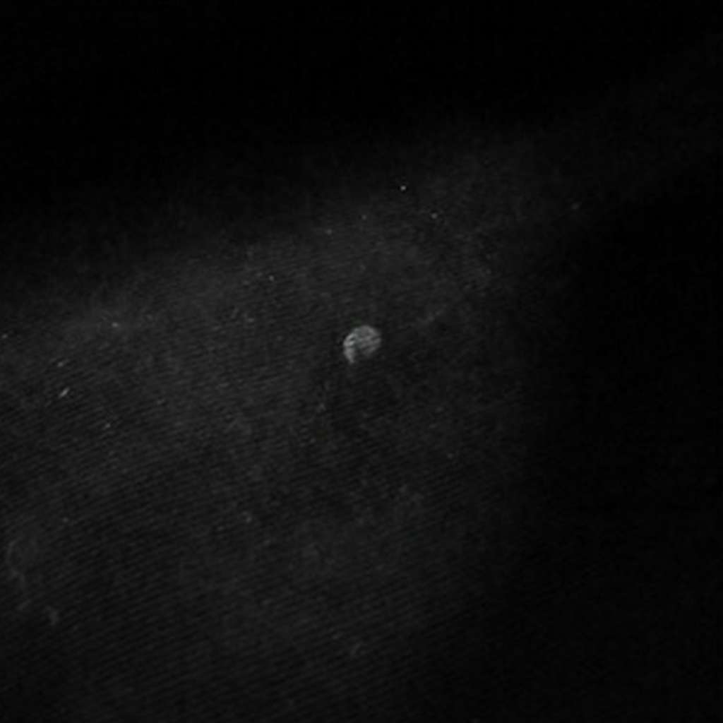 Saint Laurent Grain De Poudre Chevron Round Vinyle Camera Bag - Image 10