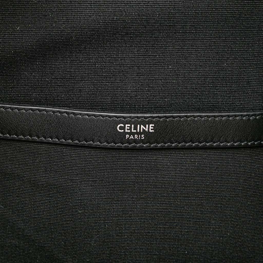 Celine Medium Triomphe Coated Canvas Backpack - Detail 1