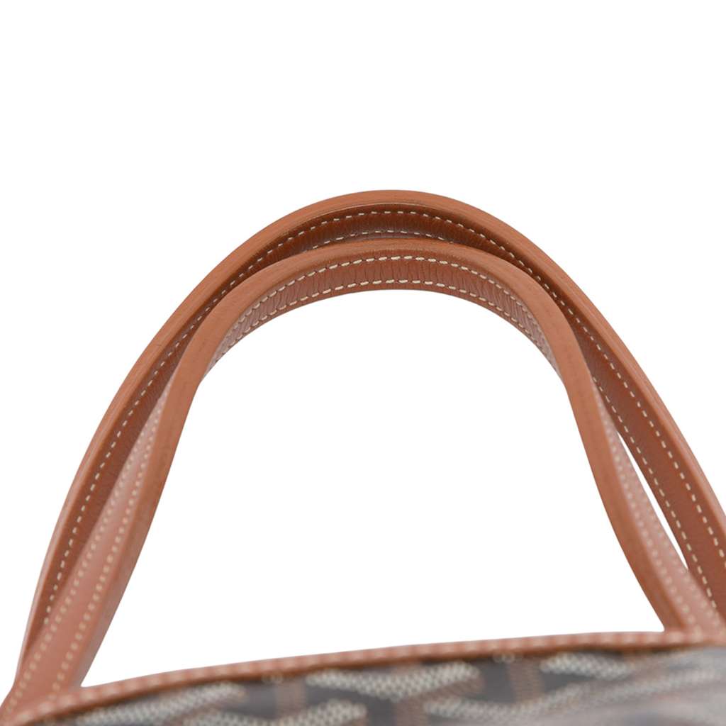 Goyard Goyardine Saint Louis PM - Image 11