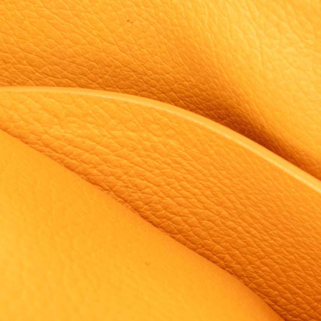 Goyard Mini Goyardine Saigon Souple - Detail 2