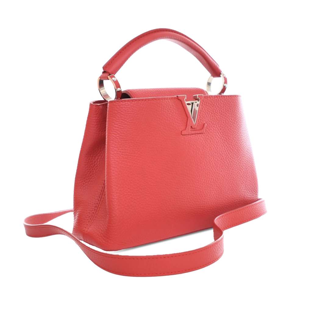 Louis Vuitton Taurillon Capucines BB - Back view