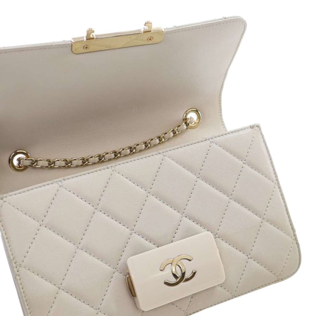 Chanel Mini Sheepskin Beauty Lock Flap - Image 14