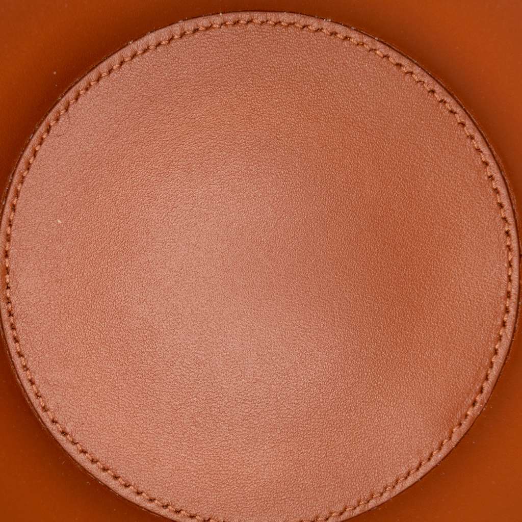 Celine Triomphe Coated Canvas Triomphe Nina Minaudiere Bag - 4