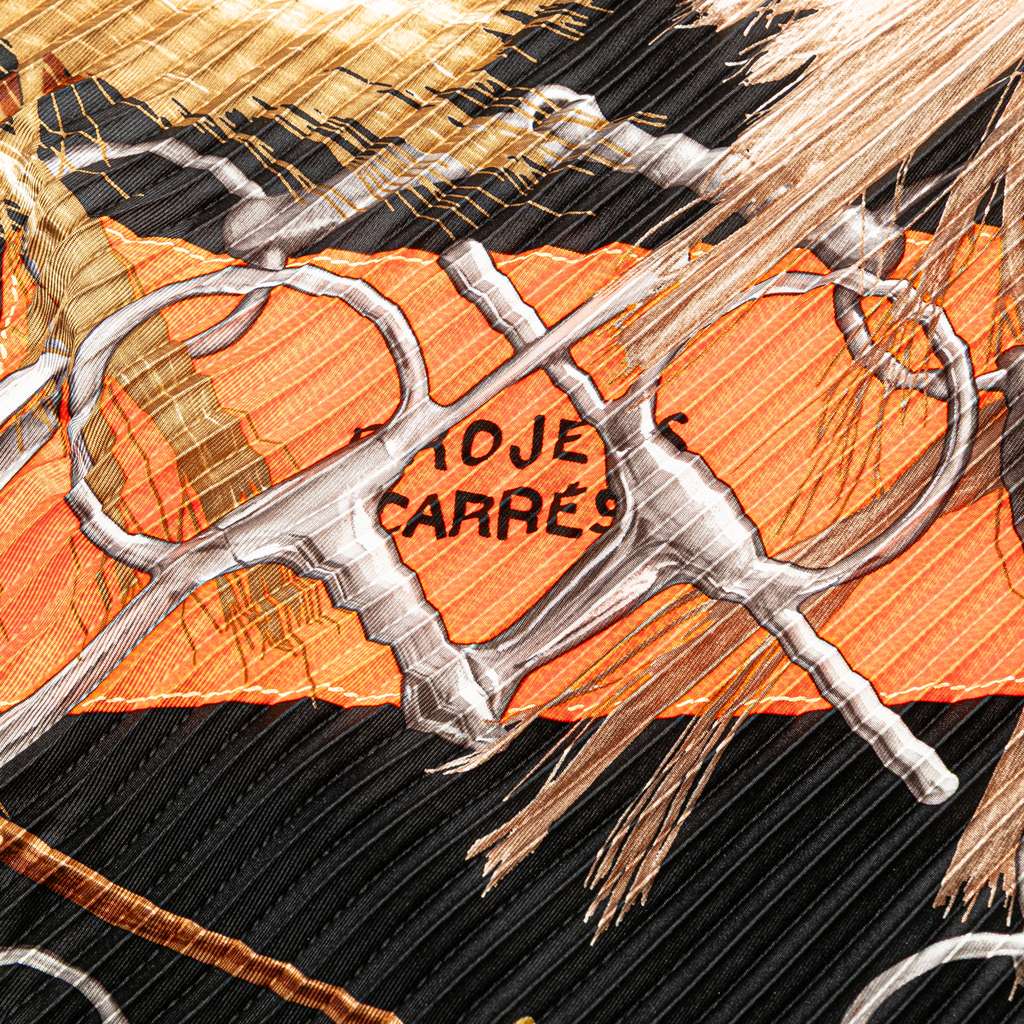 Hermès Silk Projets Carres Plisse Scarf - 4