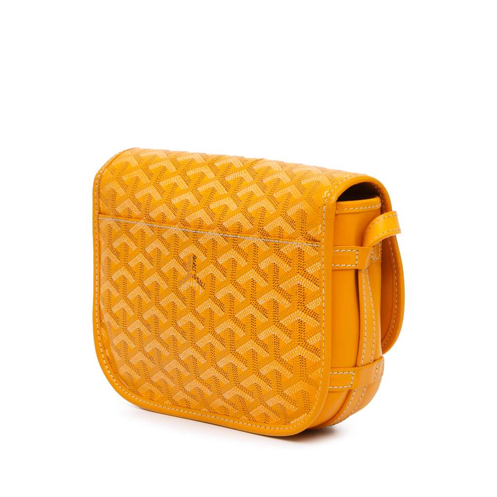Goyard Goyardine Belvedere PM - 2